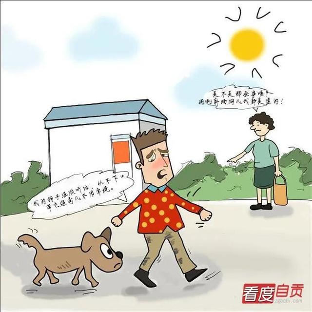 8个月过去 自贡遛狗群怎样了？-1.jpg