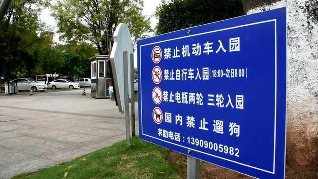8个月过去 自贡遛狗群怎样了？-2.jpg