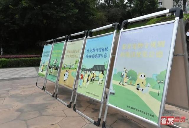 8个月过去 自贡遛狗群怎样了？-3.jpg