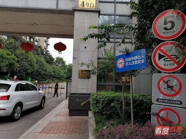 8个月过去 自贡遛狗群怎样了？-6.jpg