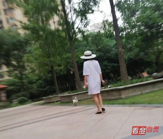 8个月过去 自贡遛狗群怎样了？-9.jpg