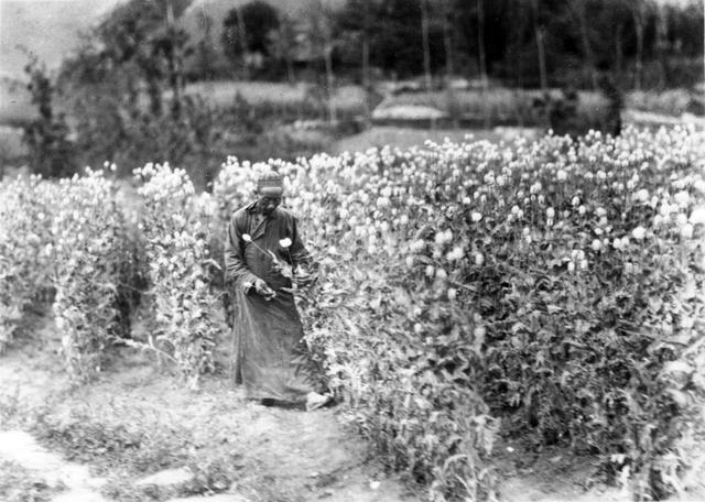 1929年的四川，成都、乐山与自贡等地影像-10.jpg