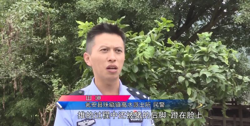 民警为救猪跳进化粪池：“这头猪是群众一年的收入”-7.jpg