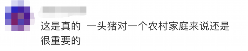 民警为救猪跳进化粪池：“这头猪是群众一年的收入”-14.png