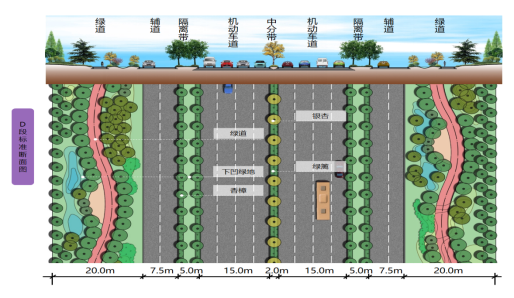主道双向8车道 辅道双向4车道 你想知道的G348 全在这里了-7.jpg