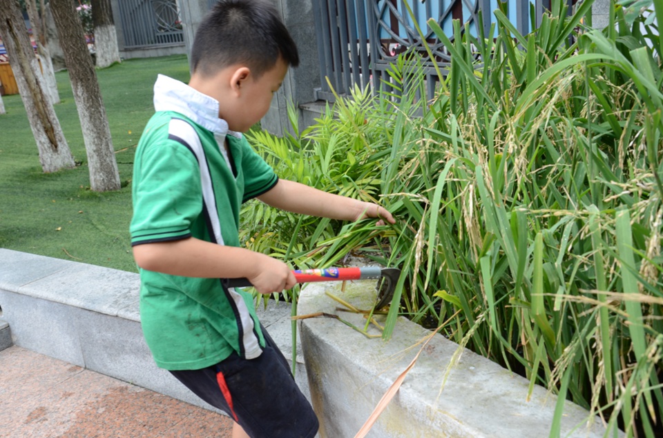 自贡家长注意啦！教育部发文，学校食堂将有大变化...-3.jpg