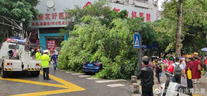 #好人好事# 【树枝落地隐患大 交警助力清除它】-1.jpg