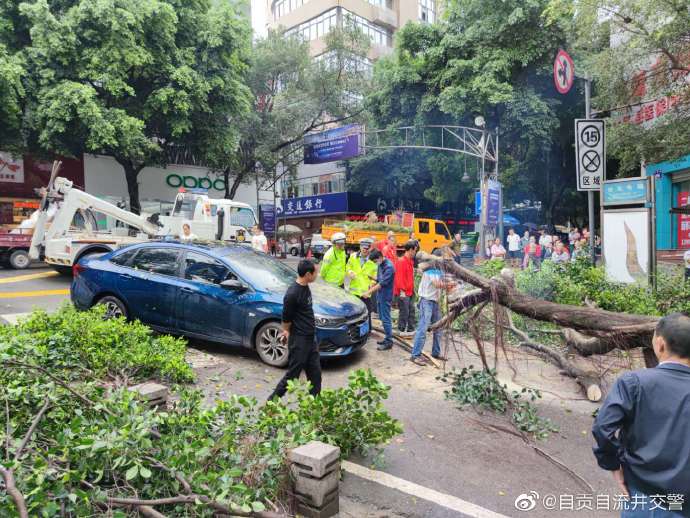#好人好事# 【树枝落地隐患大 交警助力清除它】-2.jpg