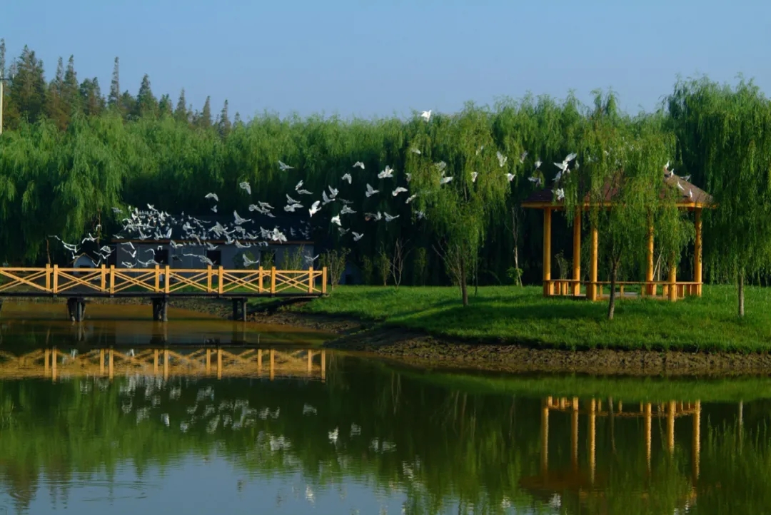 最后34席！首付分期，住楼中尊品，双中庭瞰湖景-13.jpg