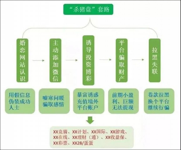 曝光！“杀猪盘”、“杀鸟盘”、“杀鱼盘”……骗局全揭秘！-4.jpg