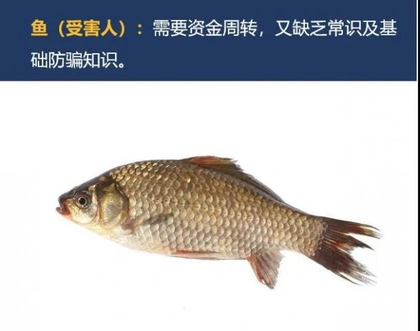 曝光！“杀猪盘”、“杀鸟盘”、“杀鱼盘”……骗局全揭秘！-10.jpg