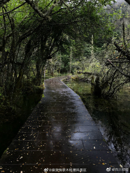 雨后清新的早晨，在茂密的森林徜徉；秋雨嘀嗒，激起一圈又一圈小涟漪-2.jpg