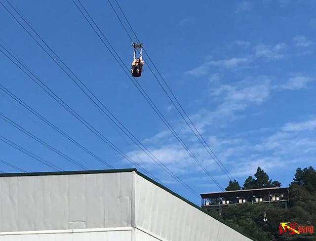 又一网红景点突发事故，女子高空索道直线坠亡！最新通报来了-3.jpg