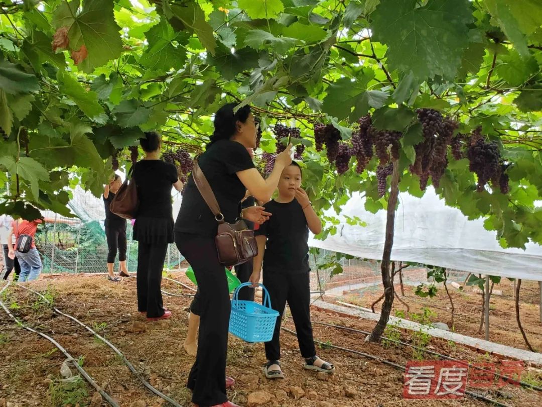 ”魅力盐都 安逸灯城“：十一黄金周自贡游玩攻略 请收好！-5.jpg