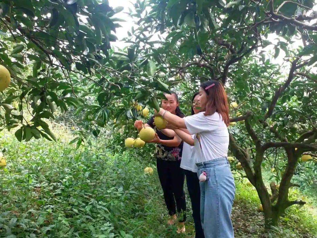 ”魅力盐都 安逸灯城“：十一黄金周自贡游玩攻略 请收好！-6.jpg