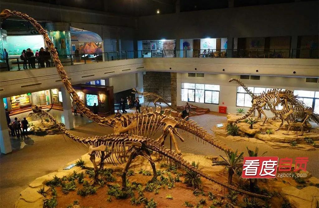 “魅力盐都 安逸灯城” ：中秋国庆自贡景区联票 优惠力度大大大！-4.jpg