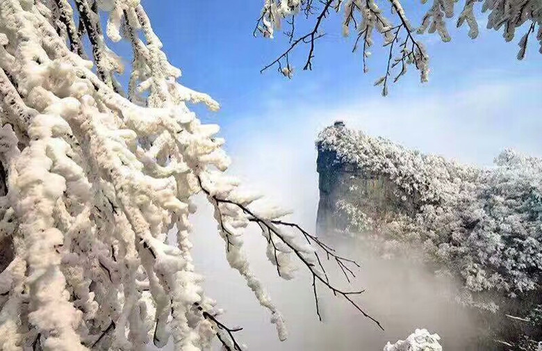 QQ图片20190319132138_副本.jpg