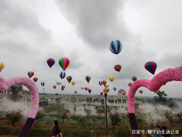自贡玫瑰花海，一处家人出游的好地方-2.jpg