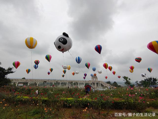 自贡玫瑰花海，一处家人出游的好地方-4.jpg