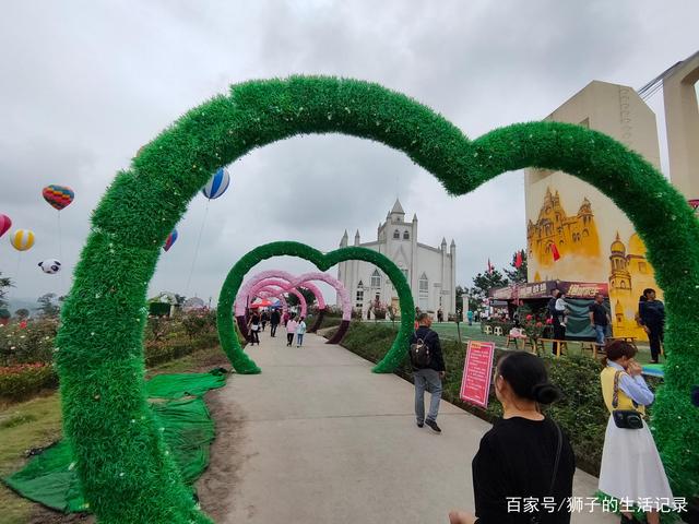 自贡玫瑰花海，一处家人出游的好地方-3.jpg