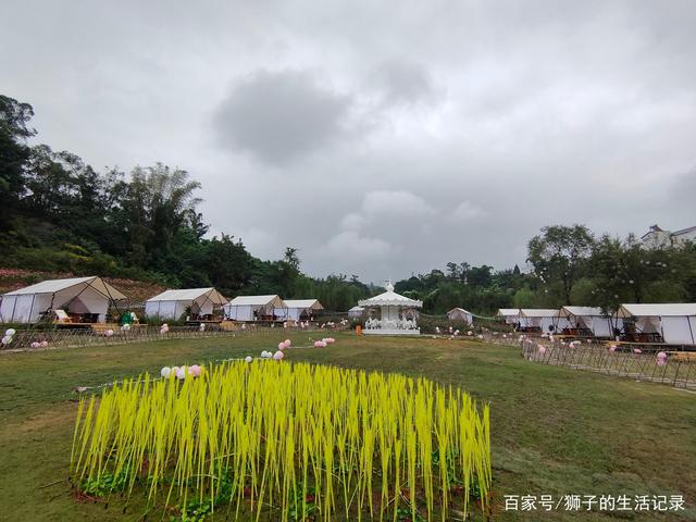 自贡玫瑰花海，一处家人出游的好地方-5.jpg
