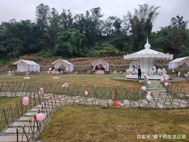 自贡玫瑰花海，一处家人出游的好地方-7.jpg