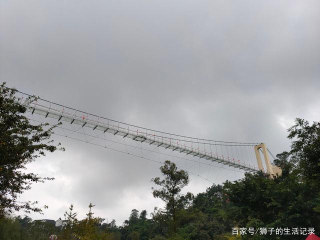 自贡玫瑰花海，一处家人出游的好地方-13.jpg