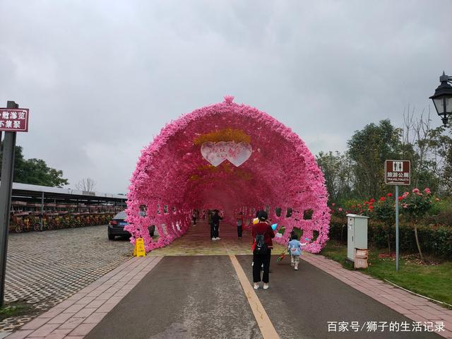 自贡玫瑰花海，一处家人出游的好地方-17.jpg