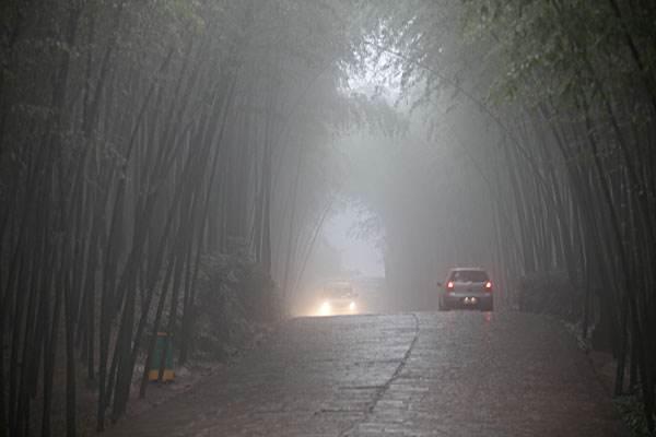蜀南竹海：外地人旅游三、四天-2.jpg