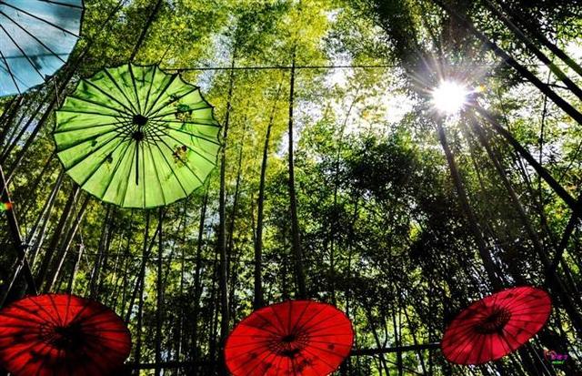 蜀南竹海：外地人旅游三、四天-8.jpg