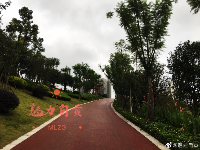 #自贡#自贡首座山地主题公园修成这样啦！-4.jpg