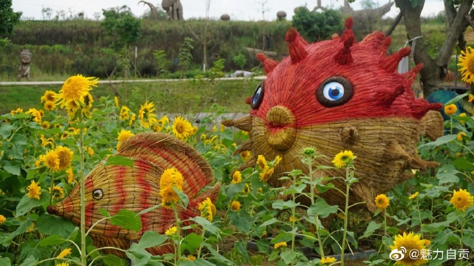 #自贡#草雕节居然这么好耍，福利还超多！还不赶紧来领取？-10.jpg
