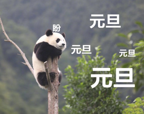 收假了......现在人在公司，心不知道在哪儿...-4.jpg