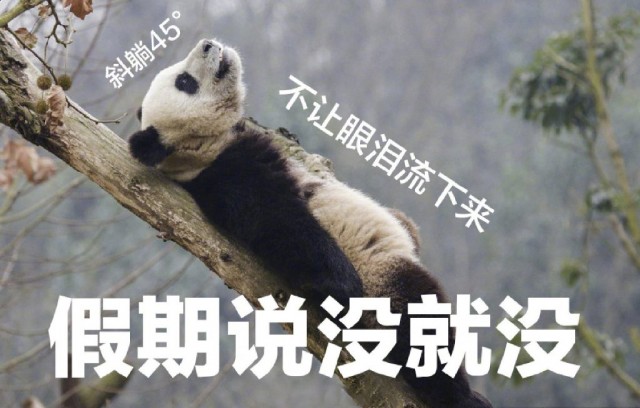 收假了......现在人在公司，心不知道在哪儿...-1.jpg