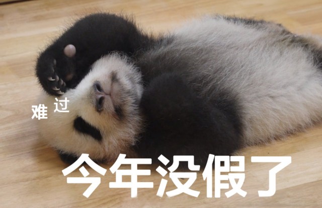 收假了......现在人在公司，心不知道在哪儿...-2.jpg