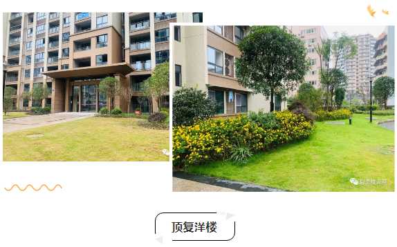 市中心+一河双公园环伺+实景现房+顶复洋楼……这个楼盘值不值？-7.png