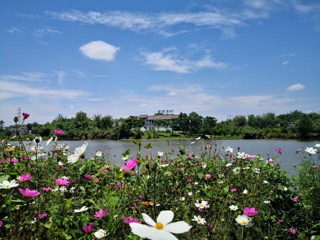 第十一届(秋季)乡村文化旅游节22日自贡开幕 看恐龙、赏灯会、吃兔儿 20项文旅大餐等你哟-1.jpg
