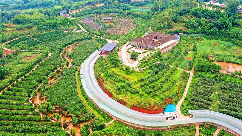 省乡村文化旅游节、自贡国际恐龙灯光节将于10月22日在自贡开幕-3.jpg
