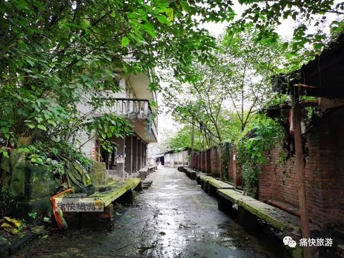 自贡旧城里，即将消失的马冲口老菜市场！-13.jpg