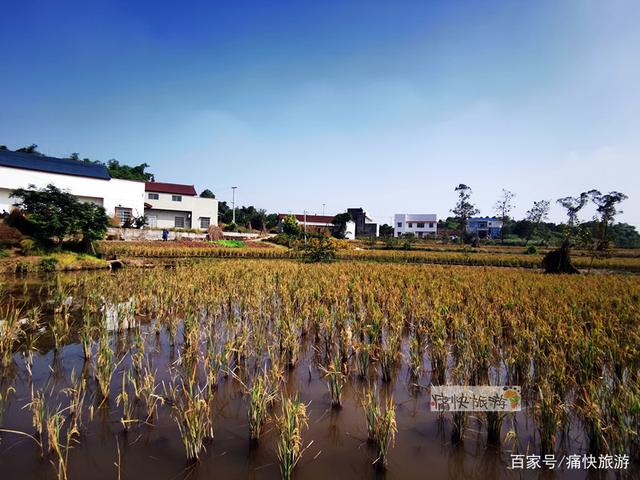 行走自贡：富顺代寺秋收的田野风光-2.jpg