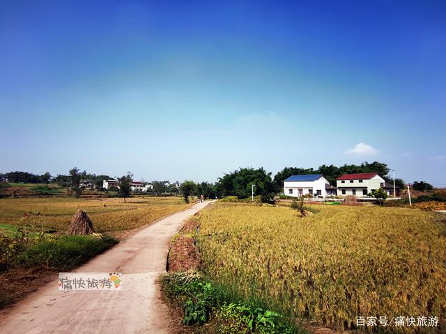 行走自贡：富顺代寺秋收的田野风光-3.jpg