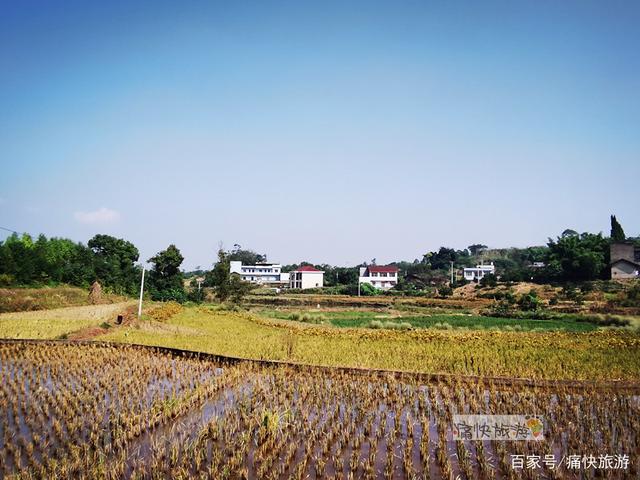 行走自贡：富顺代寺秋收的田野风光-4.jpg