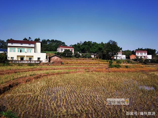 行走自贡：富顺代寺秋收的田野风光-5.jpg