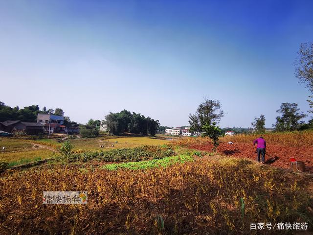 行走自贡：富顺代寺秋收的田野风光-7.jpg