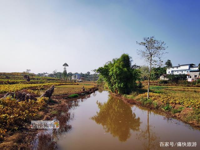 行走自贡：富顺代寺秋收的田野风光-9.jpg