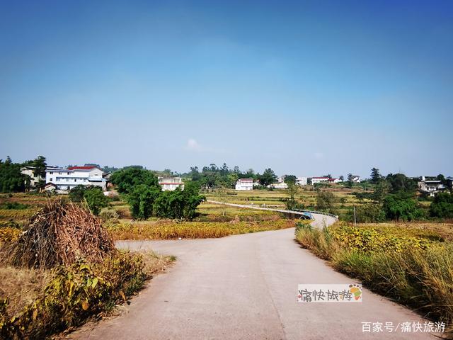 行走自贡：富顺代寺秋收的田野风光-8.jpg