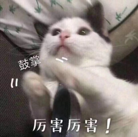 牛掰了！四川自贡徐嘉忆夺得全国青年女子拳击锦标赛铜牌-1.jpg