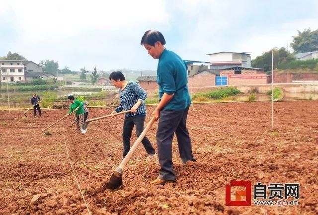 富顺这5个村上榜，获得省级荣誉！快看看有你的家乡吗？-1.jpg