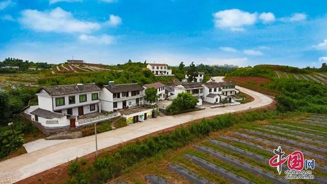 富顺这5个村上榜，获得省级荣誉！快看看有你的家乡吗？-3.jpg