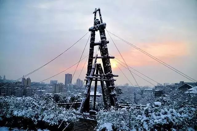 最低气温1℃！自贡将迎来一轮降温和大风天气-5.jpg